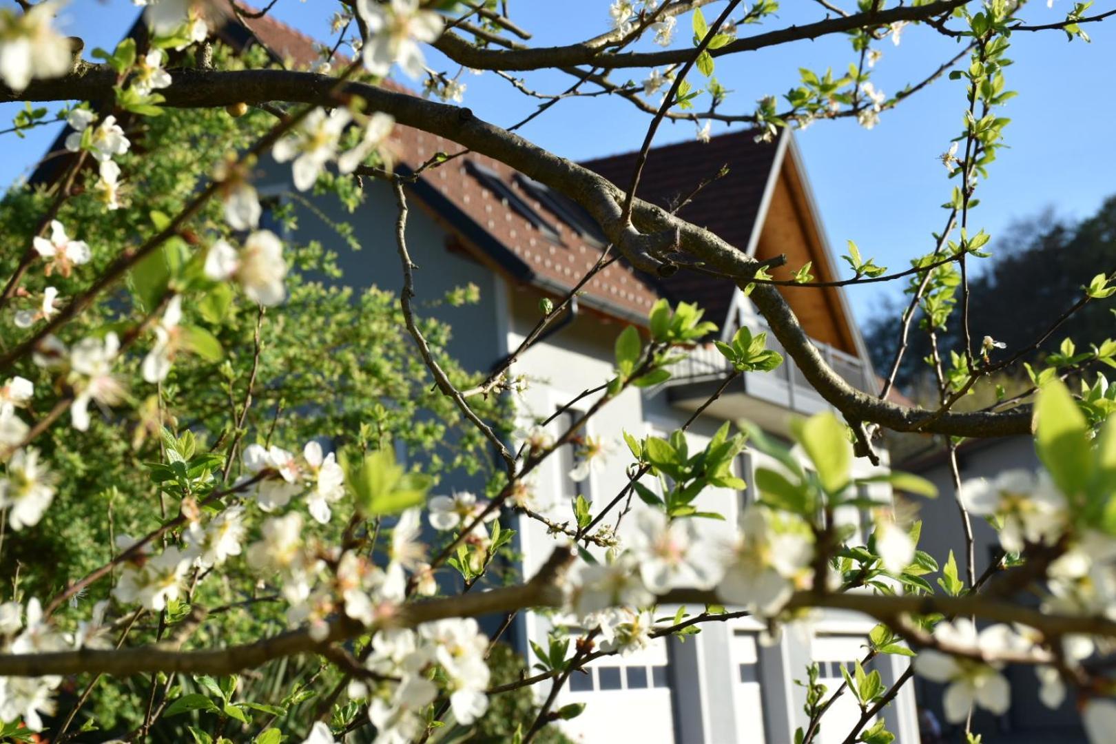 Ferienhaus Am Hof Zotter Riegersburg Exterior foto